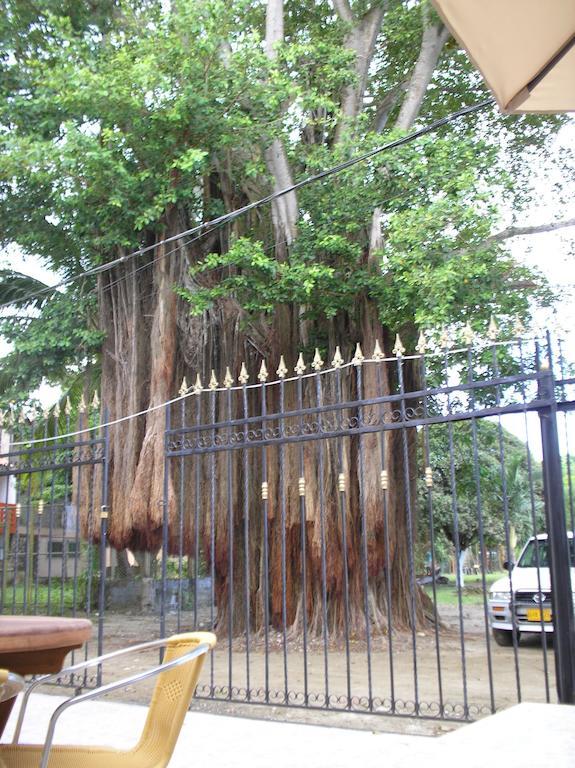 Vivienda Turistica El Castillo Hotell Buritaca Exteriör bild